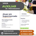 Auxiliar de processados